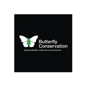 Butterfly Conservation brand logo for butterfly-conservation.org