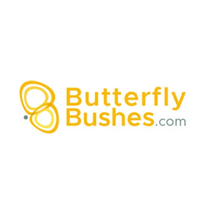 butterflybushes brand logo for butterflybushes.com