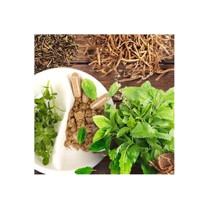 Buy Divine Botanicals brand logo for buydivinebotanicals.com