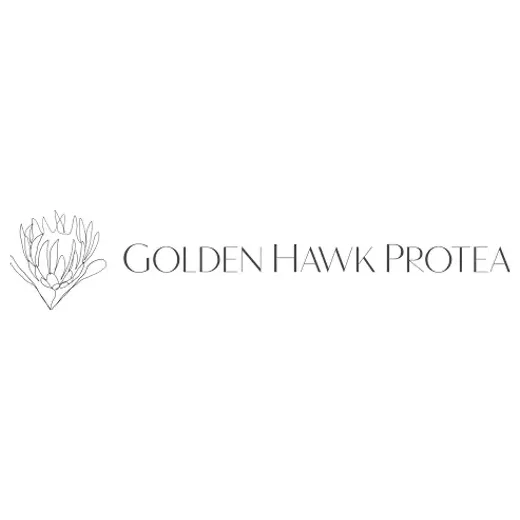 Buy Protea brand logo for buyproteaflowers.com