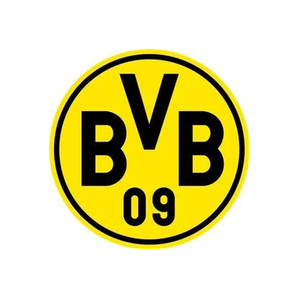 BVB brand logo for bvb.de