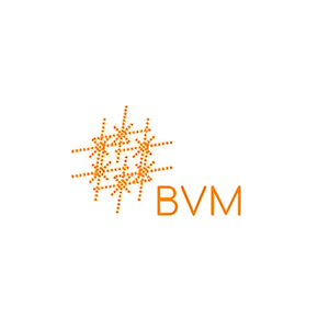 BVMax brand logo for bvmax.io