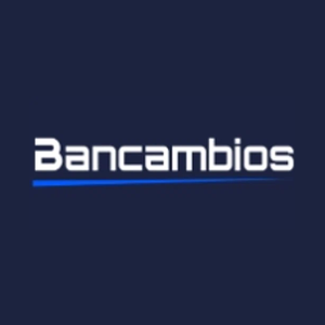 BX brand logo for bx.app