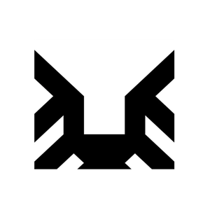 Byakko brand logo for byakkosports.com