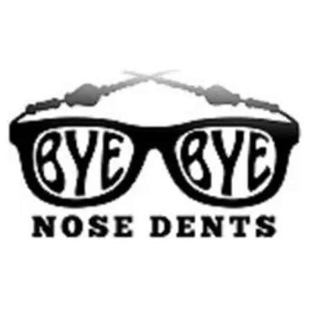 Bye Bye Nose Dents brand logo for byebyenosedents.com