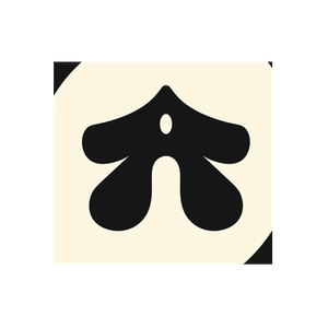 Byodiri brand logo for byodiri.com