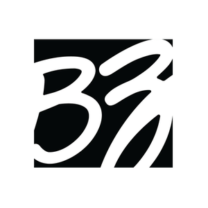 BZ Pro brand logo for bzproboard.com