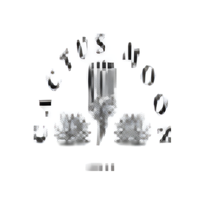 Cactus Moon brand logo for cactusmoontx.com