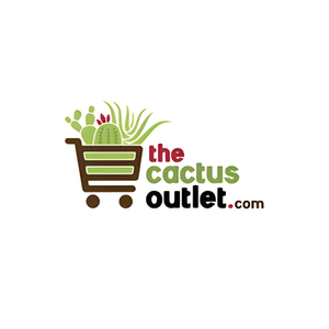 Cactus Outlet brand logo for cactusoutlet.com