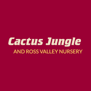 cactusjungle brand logo for cactusjungle.com