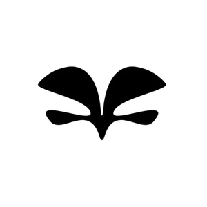 Caes Store brand logo for caes-store.com