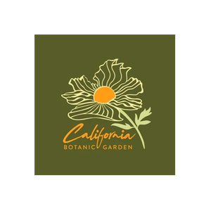 CalBG brand logo for calbg.org