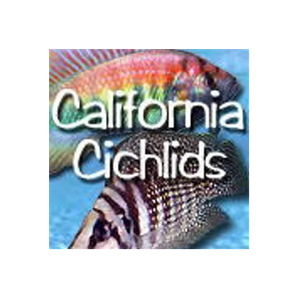 California Cichlids brand logo for californiacichlids.com
