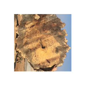 California Exotic Hardwoods brand logo for californiaexotichardwoods.com