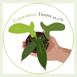 California Tropicals brand logo for california-tropicals.com