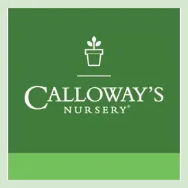 Calloway's Nursery brand logo for calloways.com
