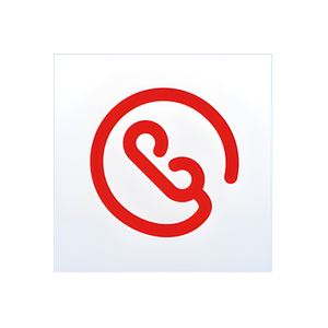 CallSwitch brand logo for callswitchone.com