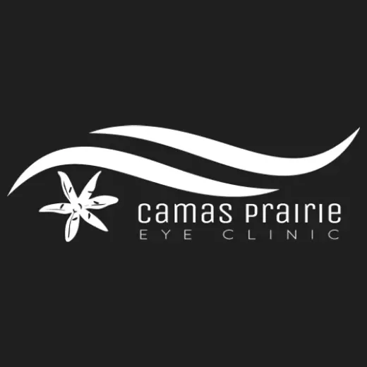 camaseyes brand logo for camaseyes.com