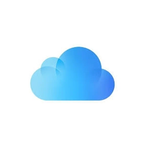Came brand logo for camecrm.com