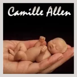 camilleallen brand logo for camilleallen.com