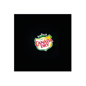 Canada Dry brand logo for canadadry.com