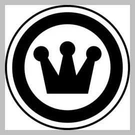 Canari brand logo for canari.com