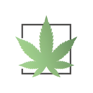 CannaBlossom brand logo for cannablossom.co
