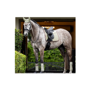 Canterbury Equestrian brand logo for canterburyequestrian.co.nz