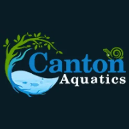 Canton Aquatics brand logo for cantonaquatics.com