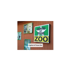 Capital of Texas Zoo brand logo for capitaloftexaszoo.org