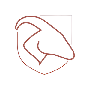 Capra brand logo for capra.ch