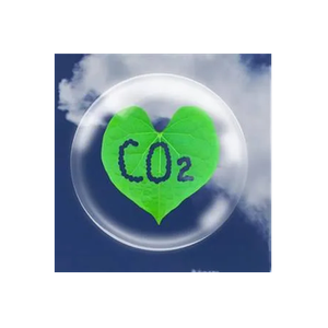 Carbogenics brand logo for carbogenetics.com