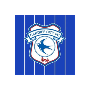 Cardiff City FC Store brand logo for cardiffcityfcstore.com