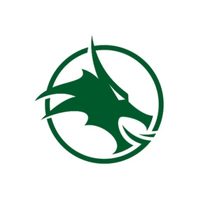 Cardiff Dragons brand logo for cardiffdragons.com