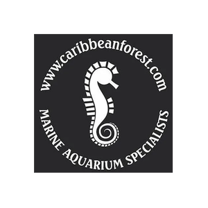 Caribbean Forest brand logo for caribbeanforest.com