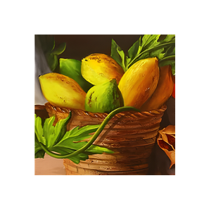 Caribbean Online Grocery brand logo for caribbeanonlinegrocery.com
