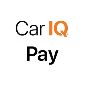 Cariq brand logo for cariqpay.com