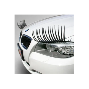 Carlashes brand logo for carlashes.com