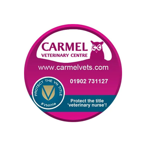 Carmel Vets brand logo for carmelvets.com