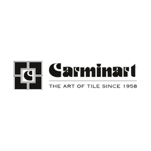 Carminart brand logo for carminart.com