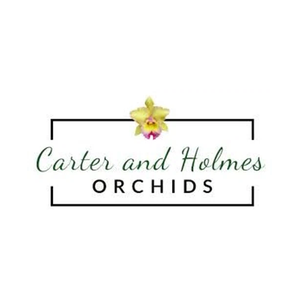 Carter & Holmes brand logo for carterandholmes.com