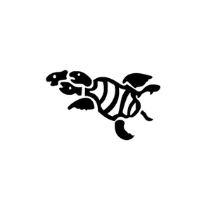 Casa Tortugas brand logo for casatortugas.com