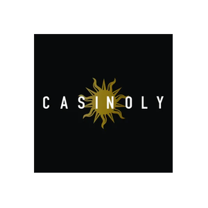 Casinoly brand logo for casinoly1.com