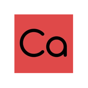 Caster Labs brand logo for casterlabs.co