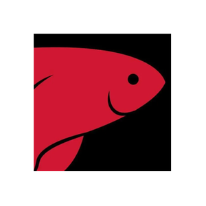 Castle Dawn Aquatics brand logo for castledawnaquatics.com