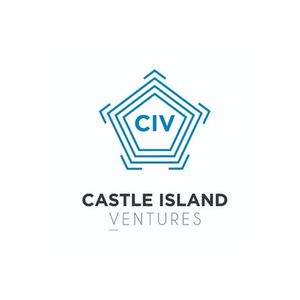 Castle Island brand logo for castleisland.vc