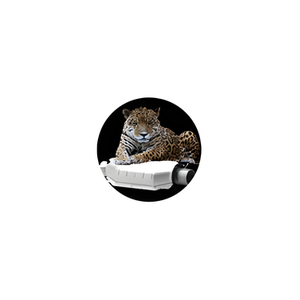 Cat Safeguard brand logo for catsafeguard.com
