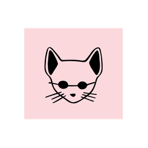 Cat Street brand logo for catstreetstore.com.au