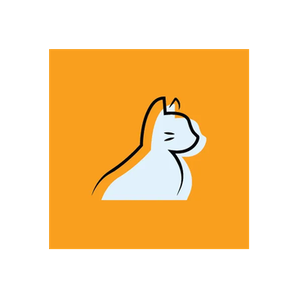 Catcordion brand logo for catcordionshop.com