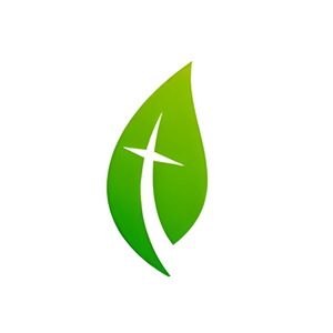 Catholic Sprouts brand logo for catholicsprouts.com